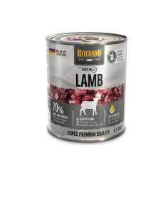 BELCANDO BASELINE CORDERO 2