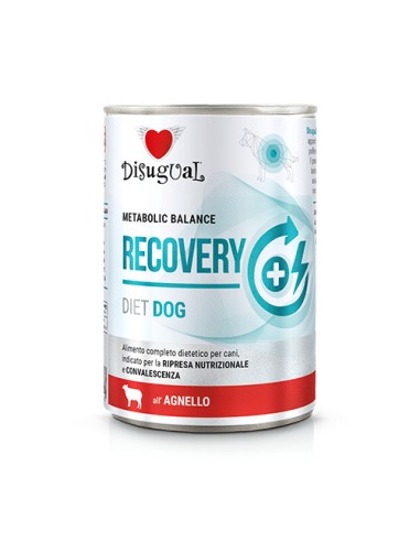 DISUGUAL DIETA PERRO RECOVERY CORDERO