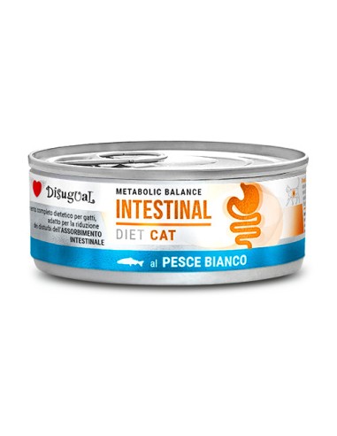 DISUGUAL DIETA GATO INTESTINAL PESCADO BLANCO