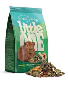 LITTLE ONE COMIDA GREEN VALLEY COBAYAS