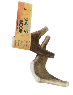 WOOLF WILD ASTA DE CIERVO