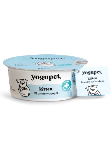 YOGUPET GATO KITTEN