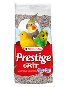 VL GRIT CON CORAL PÁJAROS