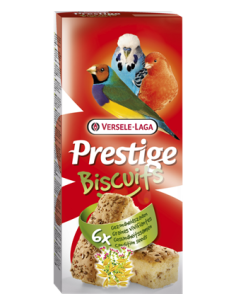 VL BIZCOCHO PÁJAROS SALUD