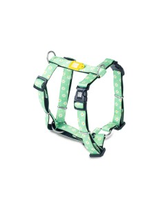 M&M ARNES H Margarite  2