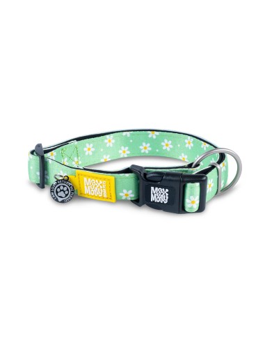 M&M COLLAR ID/SMART Margarite