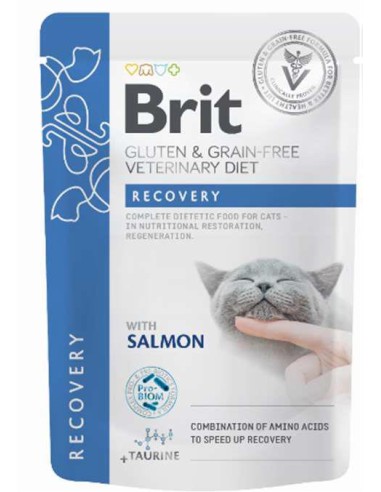 BRIT DIETA GATO RECOVERY