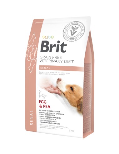 BRIT GF DIET DOG RENAL