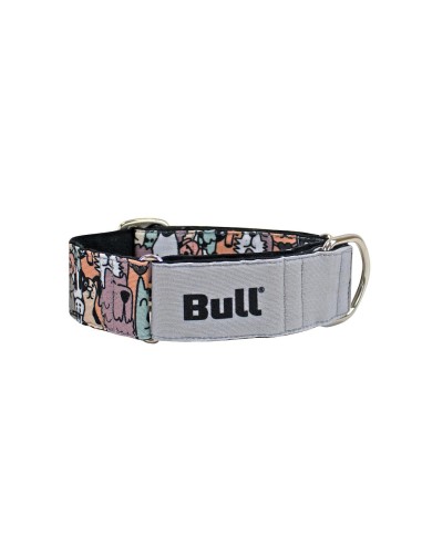 BULL COLLAR GALGO CLUB DOG