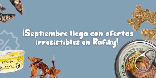 ¡Septiembre llega con ofertas irresistibles en Rafiky!