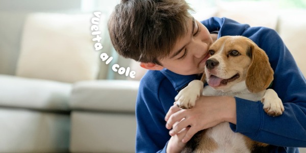 Vuelta al Cole: Cómo Integrar Tu Mascota en Tu Rutina Diaria Tras las Vacaciones