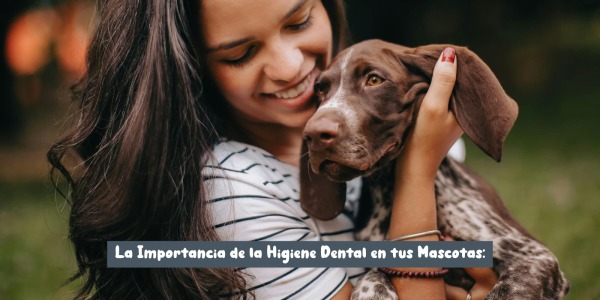 La Importancia de la Higiene Dental en tus Mascotas: Consejos y Productos Recomendados
