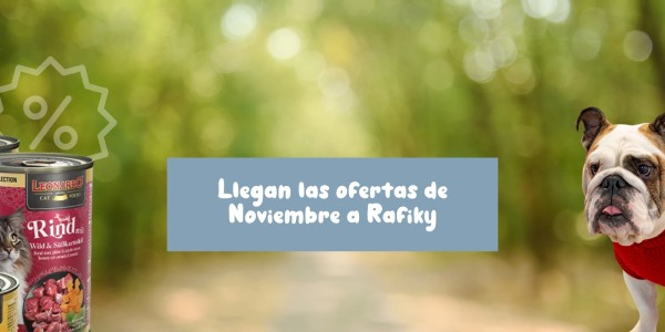 Nuestras promociones especiales para noviembre: alimentación, accesorios y novedades para tu mascota