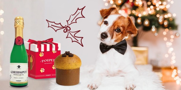 La Navidad llega a Rafiky: descubre los primeros productos navideños para perros y gatos