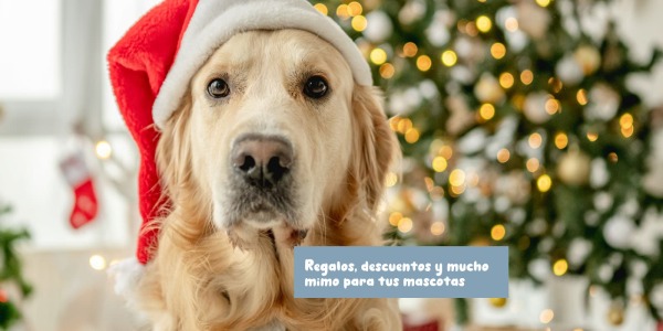 Promociones especiales de diciembre en Rafiky: regalos, descuentos y mucho mimo para tus mascotas