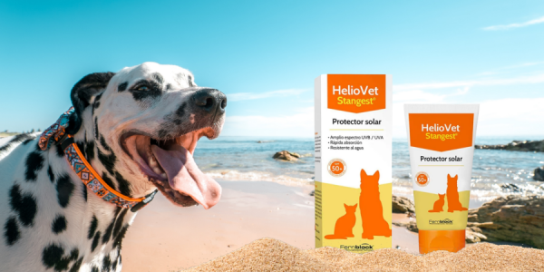Cómo proteger a tu mascota del sol: HelioVet Fotoprotector SPF50+ para perros y gatos