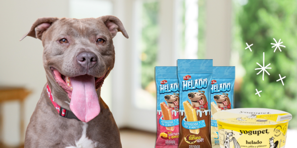 Helados para Mascotas: Yogupet y Dr. Zoo, la forma más saludable y divertida de disfrutar del verano