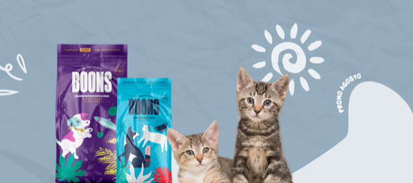 ¡Las Mejores Promos de Agosto en Rafiky!