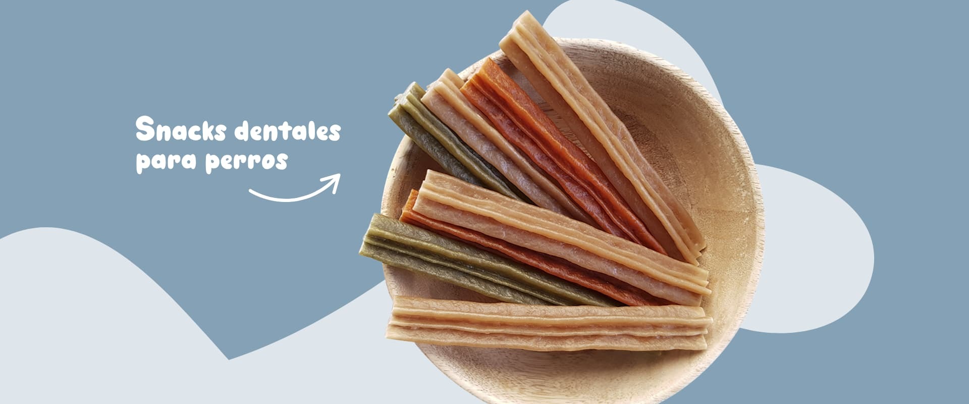 La Importancia de la Higiene Dental en tus Mascotas: Consejos y Productos Recomendados